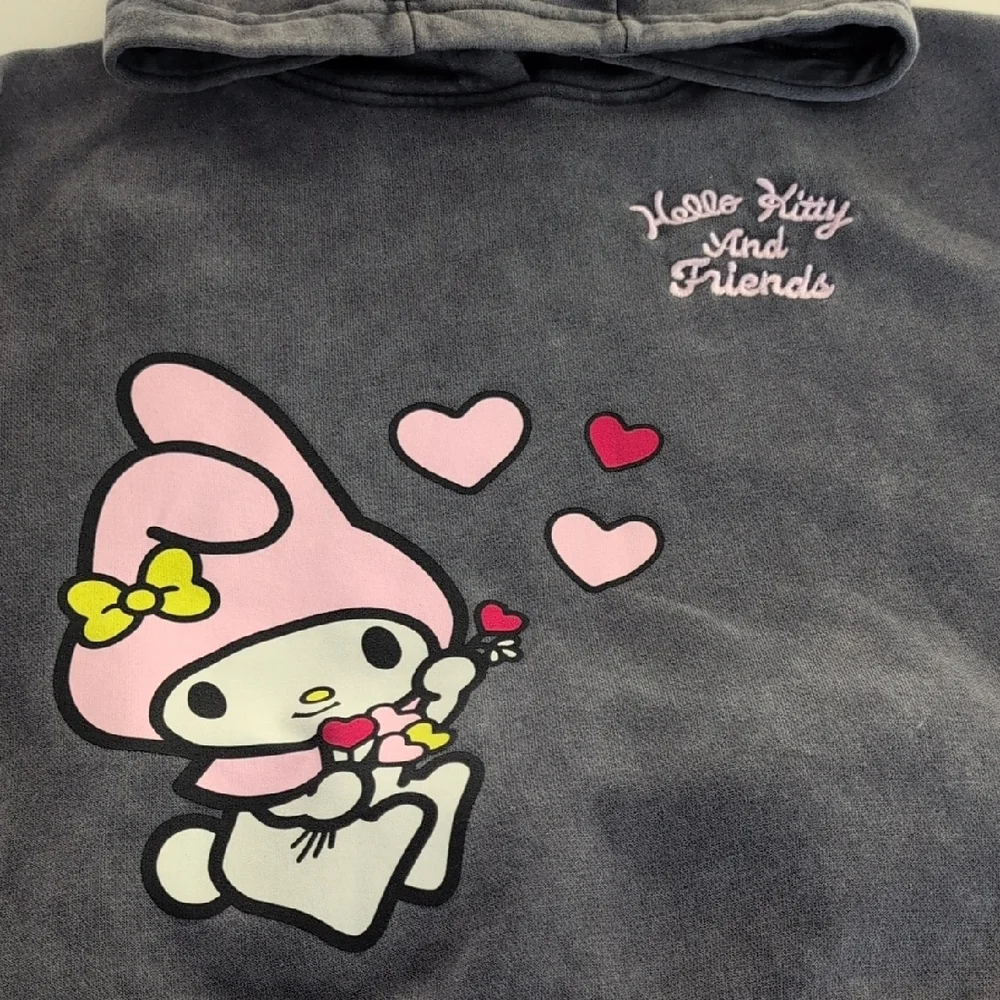 Hello Kitty & Friends Grey Hoodie Set with Pink Accents